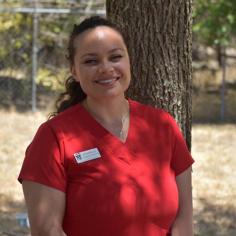 Veterinarian In TX 78633 CPH